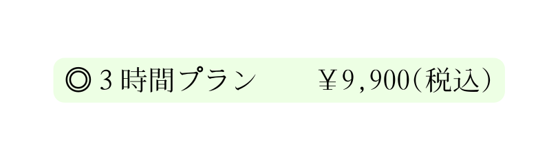３時間プラン 9 900 税込