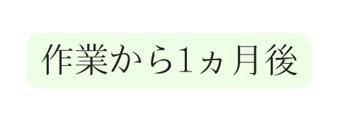 作業から1ヵ月後