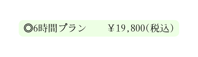 6時間プラン 19 800 税込