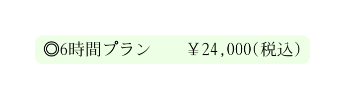 6時間プラン 24 000 税込