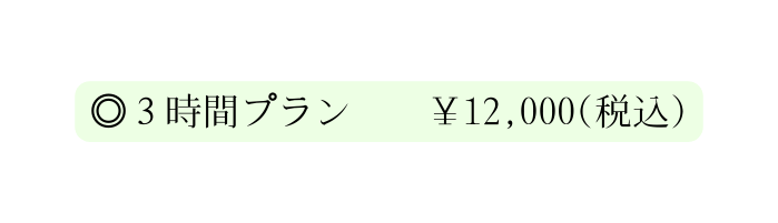 ３時間プラン 12 000 税込